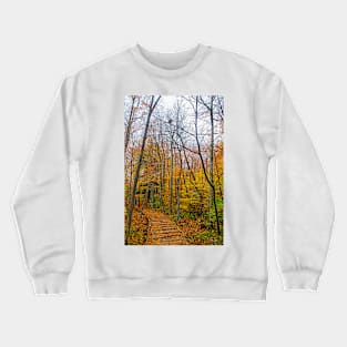 Wooden Pathway Through the Forest Crewneck Sweatshirt